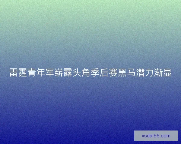 雷霆青年军崭露头角季后赛黑马潜力渐显