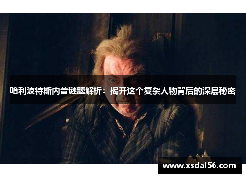 哈利波特斯内普谜题解析：揭开这个复杂人物背后的深层秘密