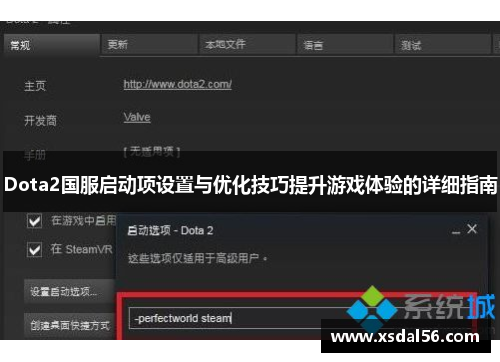 Dota2国服启动项设置与优化技巧提升游戏体验的详细指南