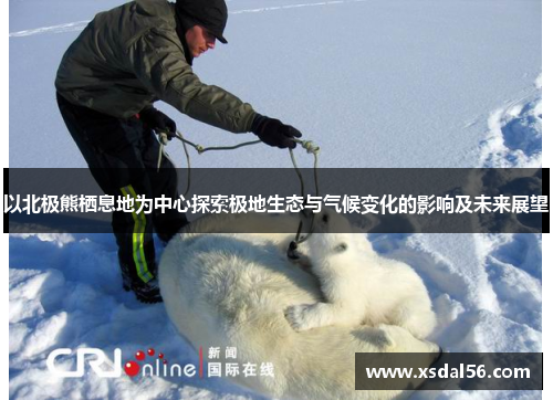 以北极熊栖息地为中心探索极地生态与气候变化的影响及未来展望
