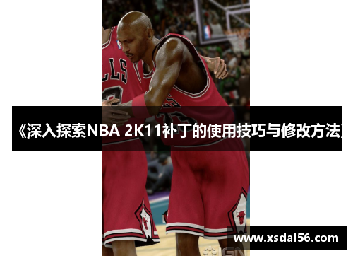 《深入探索NBA 2K11补丁的使用技巧与修改方法》