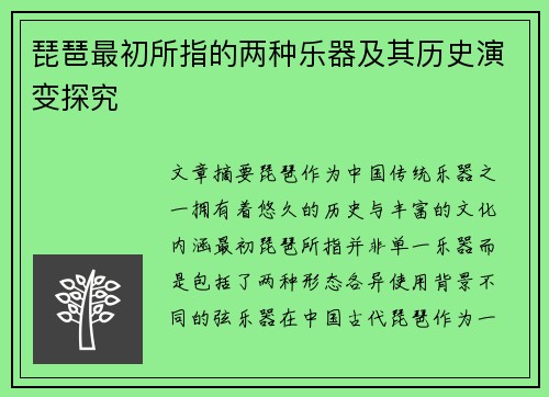 琵琶最初所指的两种乐器及其历史演变探究