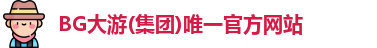 BG大游(集团)唯一官方网站